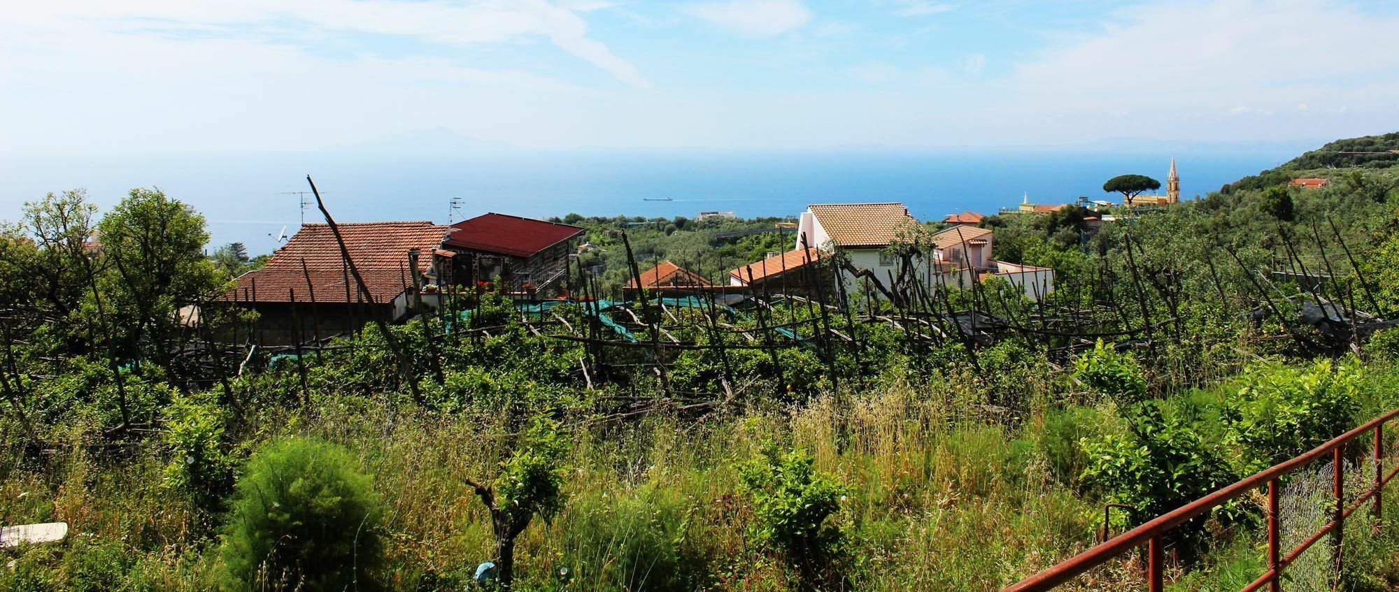 Hotel Terrazza Iride Massa Lubrense Esterno foto